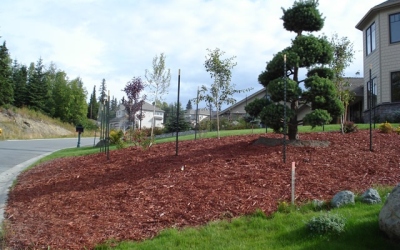 Lind-2008-3